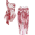 Swimsuit and sarong
