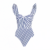 Only swimsuit